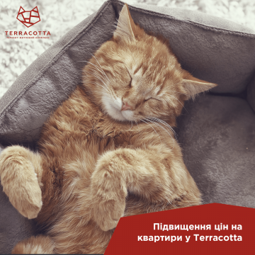 Новость